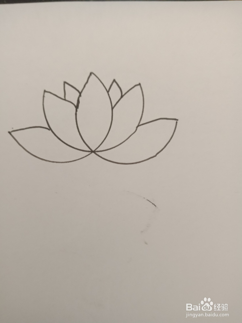 简笔画—用硬币画荷花