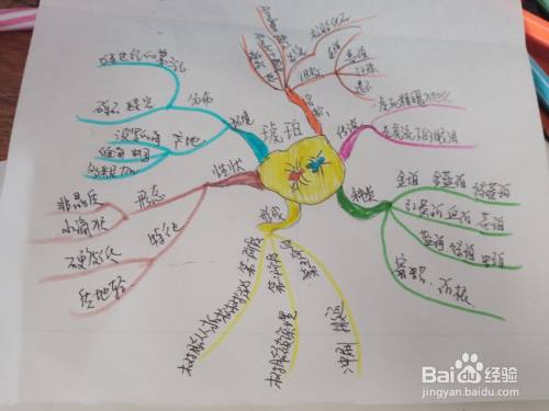 琥珀的思维导图怎么画