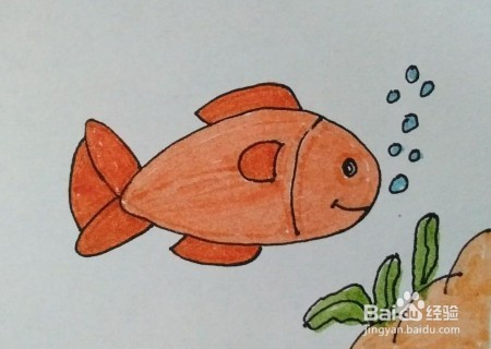 简笔画教程:教你怎么画鱼