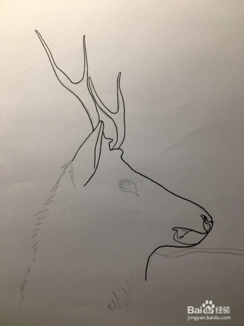 鹿的简笔画 鹿头儿童绘画