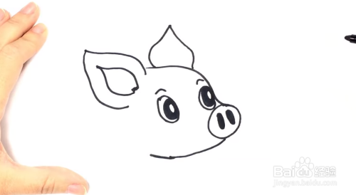 画出猪耳朵,如图所示.