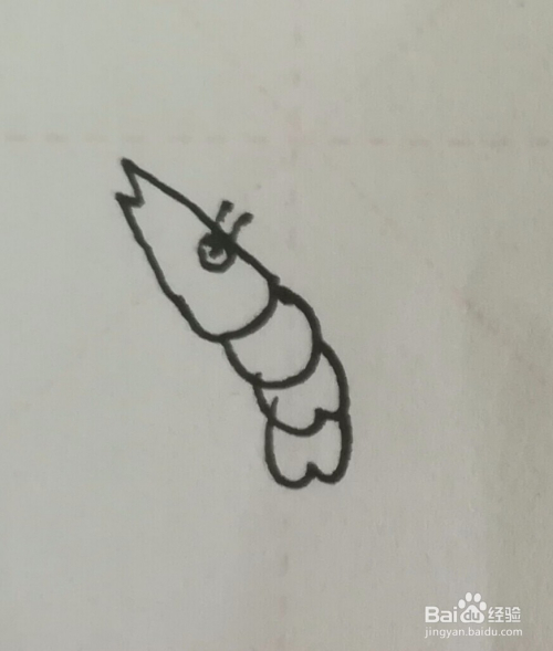 小虾的简笔画怎么画?一步一步简单易学