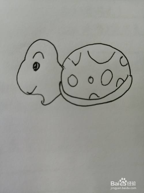 第四步,然后在可爱的小乌龟的乌龟壳上面画出花纹,画法比较简单.