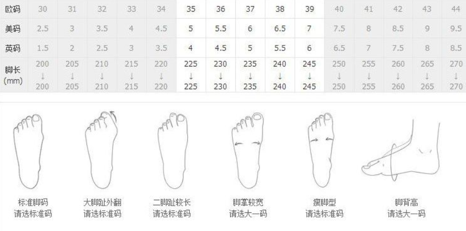 吃什么食物可以补维生素B12 知乎