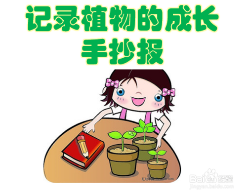 记录植物的成长手抄报