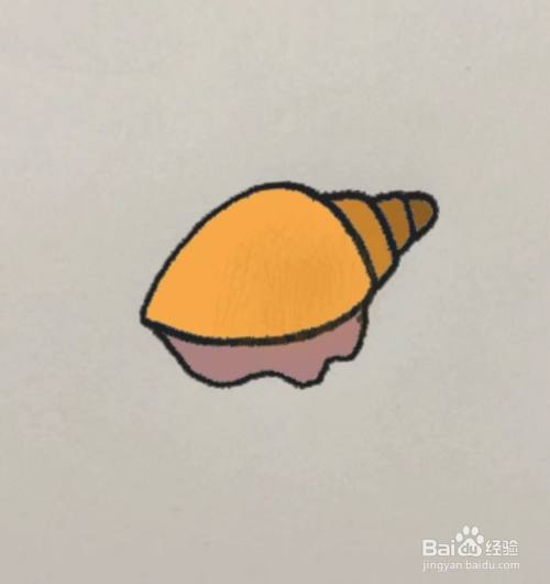 怎么画海螺简笔画;怎么画田螺简笔画