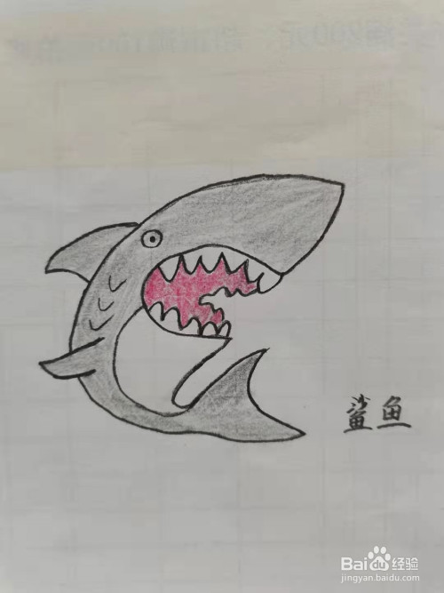 卡通鲨鱼怎么画