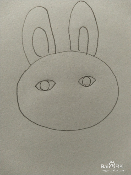 幼儿园小朋友学简笔画-可爱的兔子