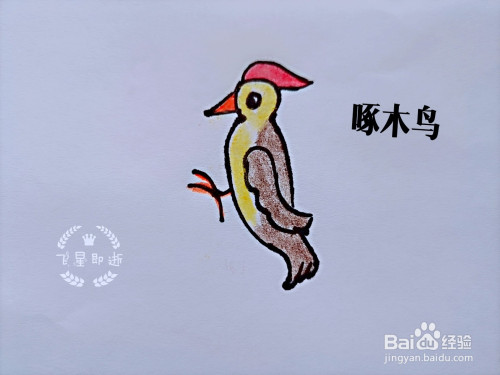儿童简笔画 如何画一只啄木鸟