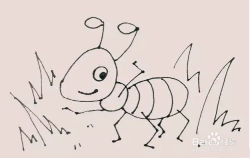 蚂蚁简笔画教程