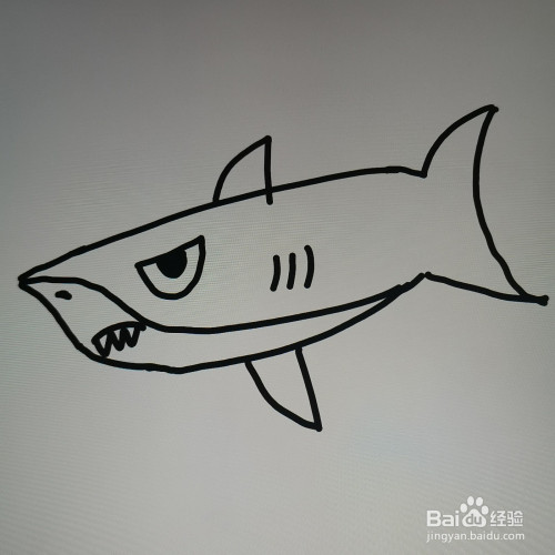 大鲨鱼简笔画怎么画