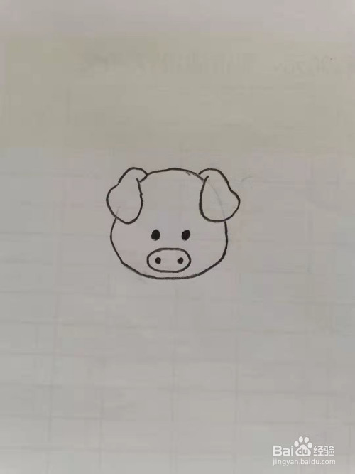 第三步,画上小猪的眼睛和鼻子.