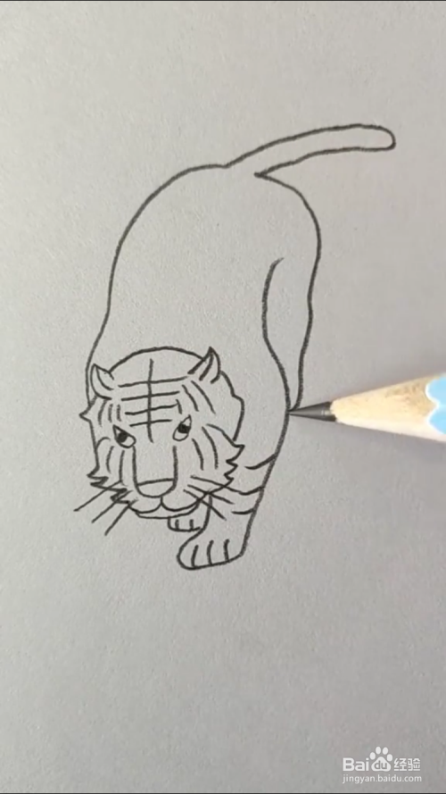 老虎的简笔画怎样画?