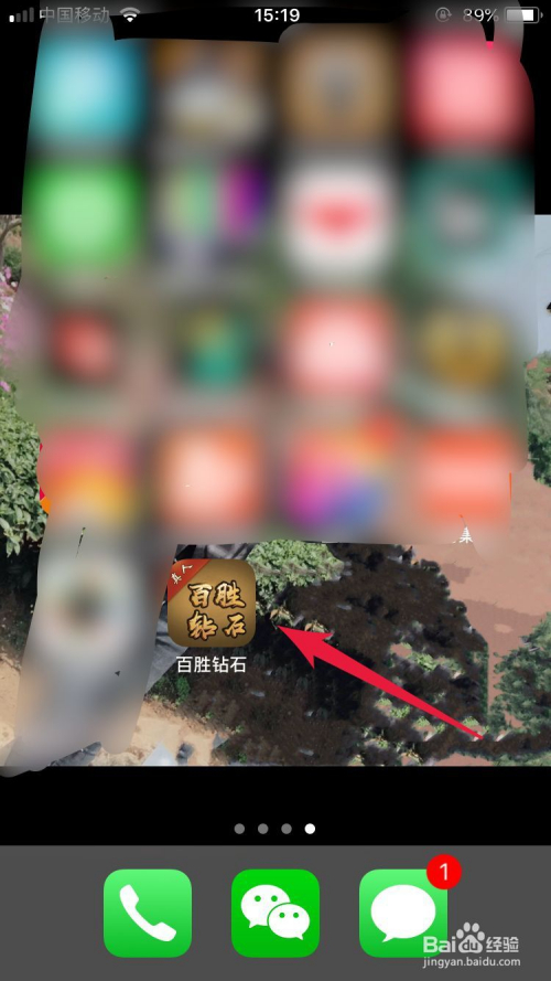 百胜钻石app苹果手机app下载教程