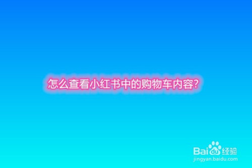 怎么查看小红书中的购物车内容?