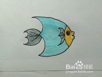 幼儿简笔画:用数字"3"画鱼