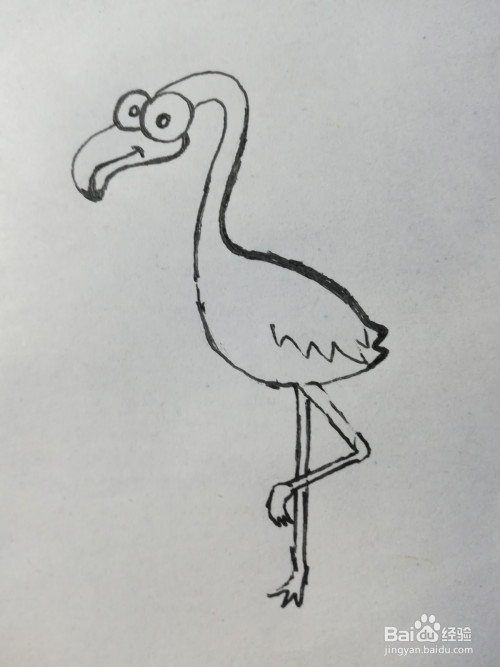 怎么画卡通火烈鸟的简笔画