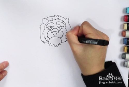 首先画出狮子的头部,画上一圈圈的毛发,画出它的五官.