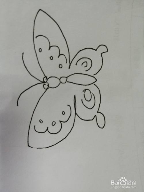 漂亮的小蝴蝶怎么画
