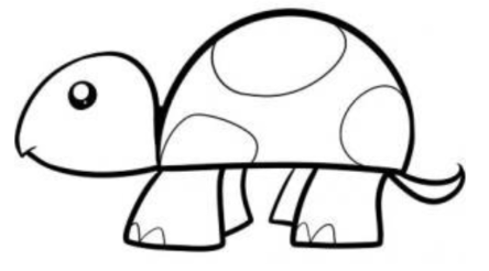 简笔画—如何画一只可爱的小乌龟