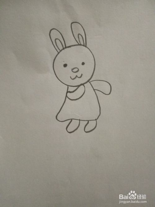 儿童简笔画之可爱的小白兔