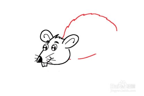 如何画卡通老鼠