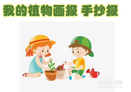 我的植物画报手抄报