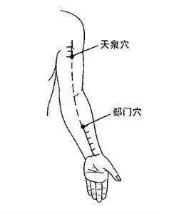 如何找到手太阴肺经之上的天府穴