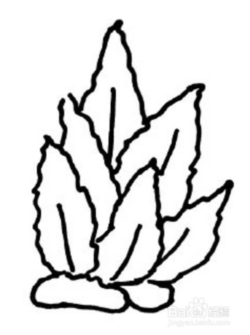 ͨʥʻ