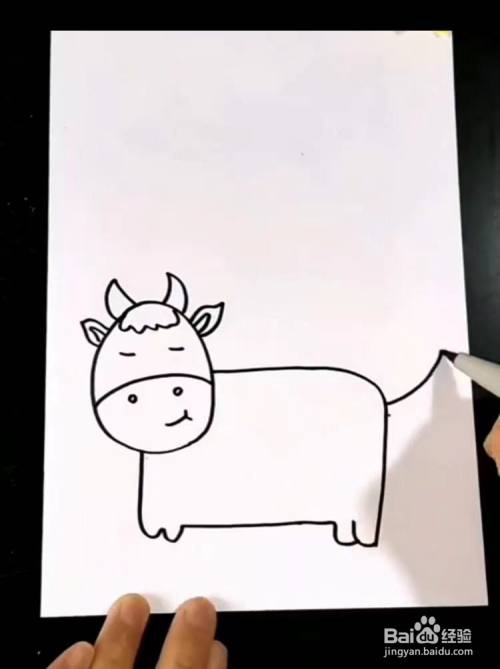 接着,画出牛的身体,再用"w"画出小短腿,再画出扬起的尾巴