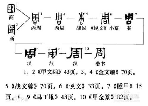 周字怎么介绍