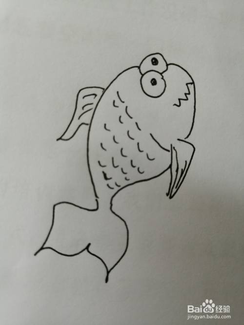 第六步,然后把可爱的小鱼的小尾巴画出来,注意小尾巴的画法.