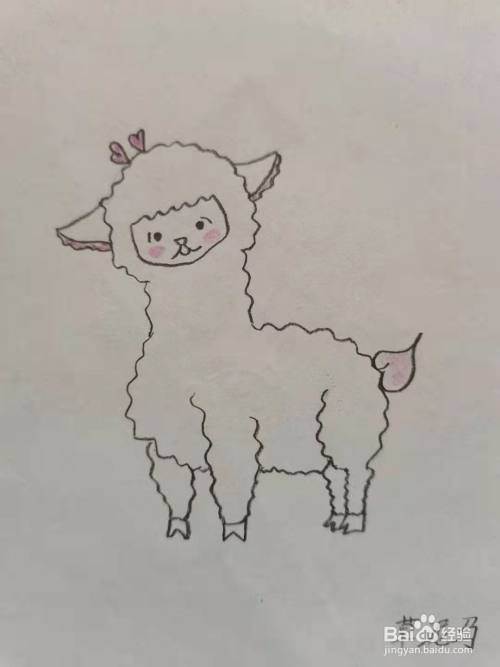 可爱的羊驼怎么画