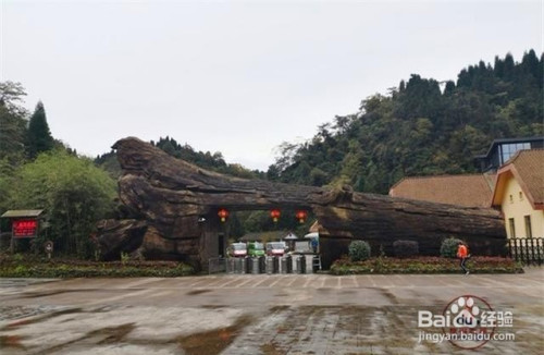 四川龙苍沟旅游避暑怎么样