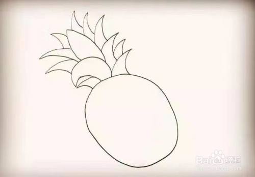 菠萝的简笔画教程