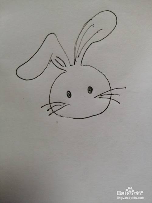 第三步,接着在可爱的小兔子的眼睛下面画出两边的胡须,画法比较简单