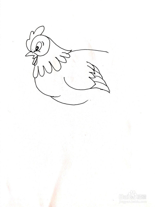 母鸡简笔画怎么画?