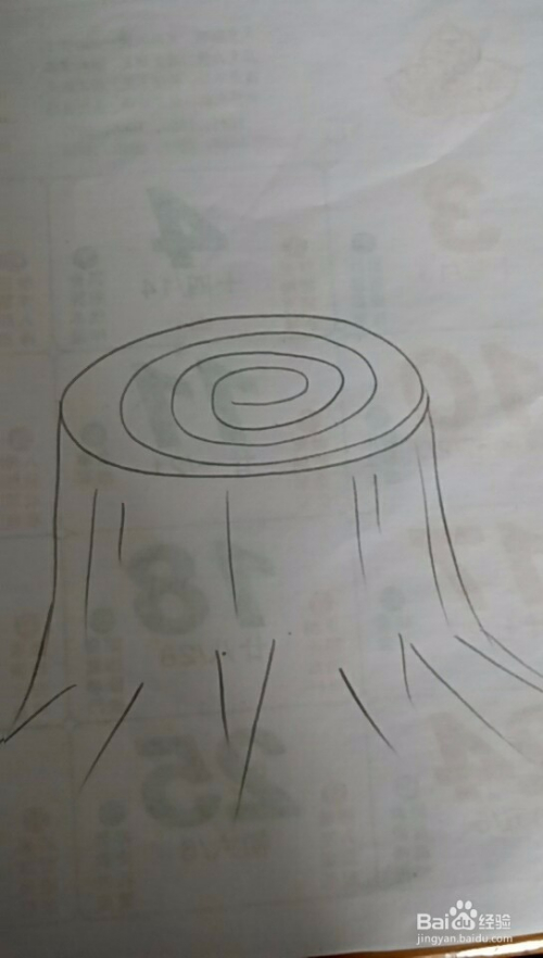然后在圆的外部画出两条线 3 画几条直线在上面,当作树桩树皮上的皱褶