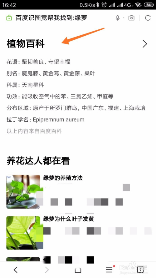 怎样使用百度浏览器app扫描识别植物