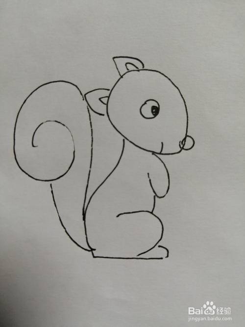 可爱的小松鼠怎么画