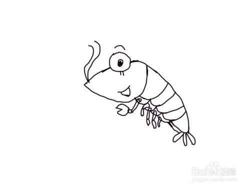 怎么画儿童彩色简笔画卡通动物虾?