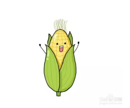 玉米的简笔画怎么画