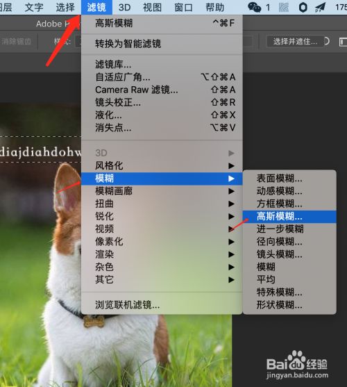 ps如何将图片进行模糊处理