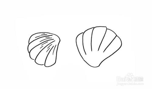 如何画贝壳的儿童简笔画教程
