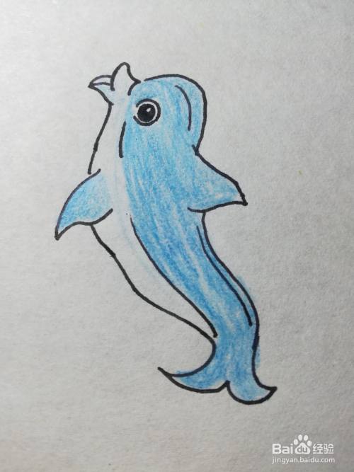 怎么画蓝色小海豚