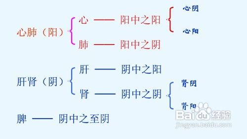 中医知识之阴阳理论及养生介绍