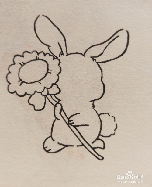 怎样画简笔画——拿着向日葵的小兔子