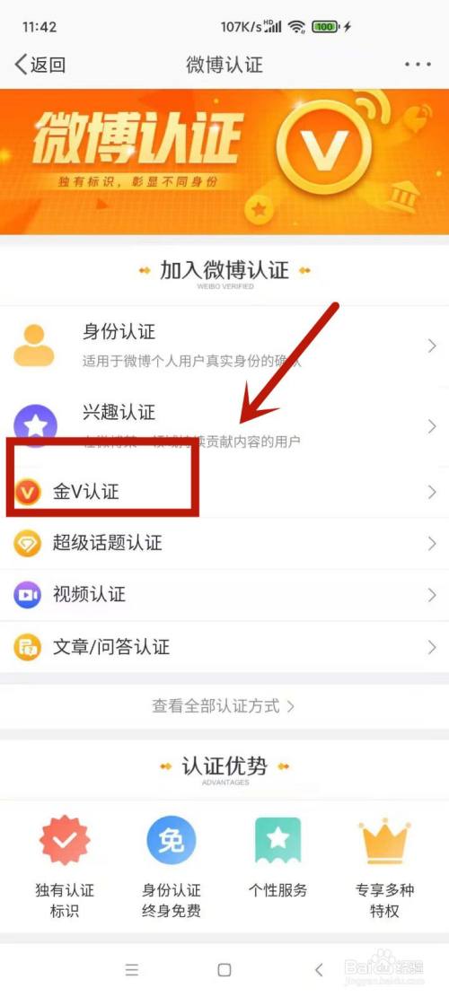 点击红色框金v认证 找到页面的红色框金v认证选项进入.