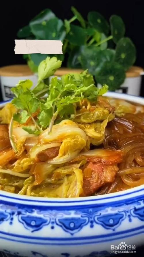 教你做五花肉白菜炖粉条?
