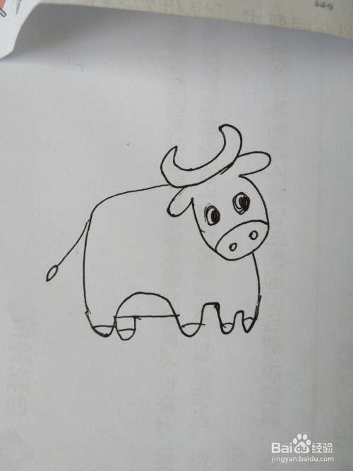 3 第三步:画牛的眼睛和嘴,如图所示. 4 第四步:画牛的身体,如图所示.